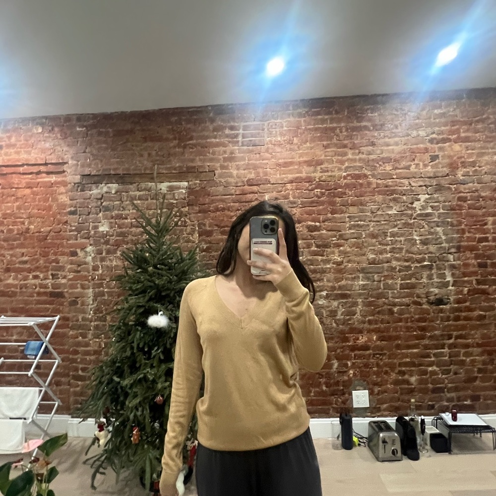Cozy Tan V-Neck Sweater (NWOT)
